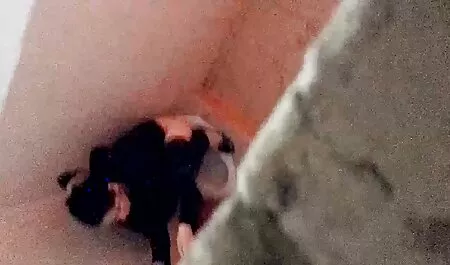 Xem phim với hai thuê những tên trộm trèo vào nhà, nơi mà một cô gái và háu ăn trước khi trong cả hai lỗ, cô gái cả hai người cho đến khi họ đã bất tỉnh, trực tuyến tình với Anya Krey chất lượng tốt HD. Để tải về miễn phí tình dục video trên điện thoại trong chất lượng cao và không cần đăng ký vào 