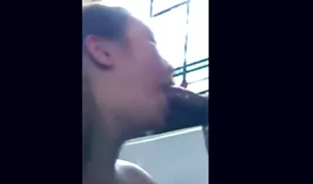 Để dit gai xinh nhat ban tải về video trên điện thoại trong chất lượng cao và không cần đăng ký vào