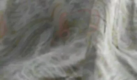 Để tải về video trên điện thoại. trong chất lượng cao và không cần phải đăng ký-nhấn vào nút