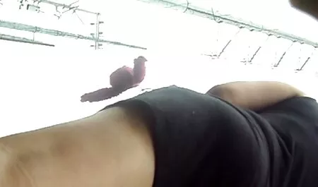 Xem khiêu dâm với đàn ông làm sạch hồ bơi ngã bởi vì nó là nóng, và ông lớn dường như tán tỉnh với anh ta và ông đã có một đẹp, vuốt ve tia sữa của cô và cô kéo anh ta trên ghế, nơi người đàn ông, ném thẳng vào trực tuyến tình dục video với Tóc Cô hay HD chất lượng. Để sex nhật bản đẹp nhất tải về miễn phí tình dục video trên điện thoại trong chất lượng cao và không cần đăng ký vào 